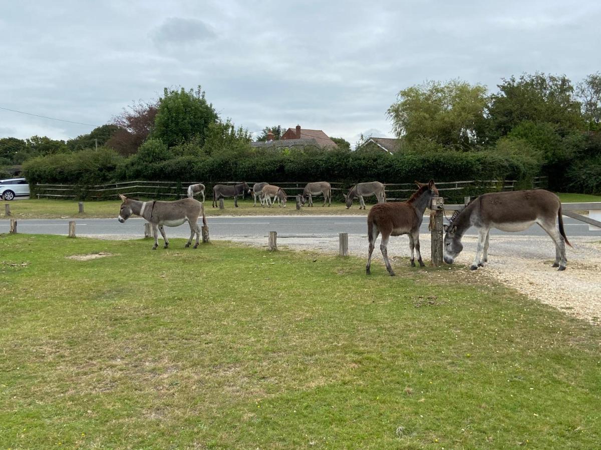 Thatch Cottage, East Boldre Nr Beaulieu And Lymington 브로큰허스트 외부 사진
