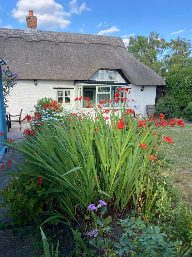 Thatch Cottage, East Boldre Nr Beaulieu And Lymington 브로큰허스트 외부 사진